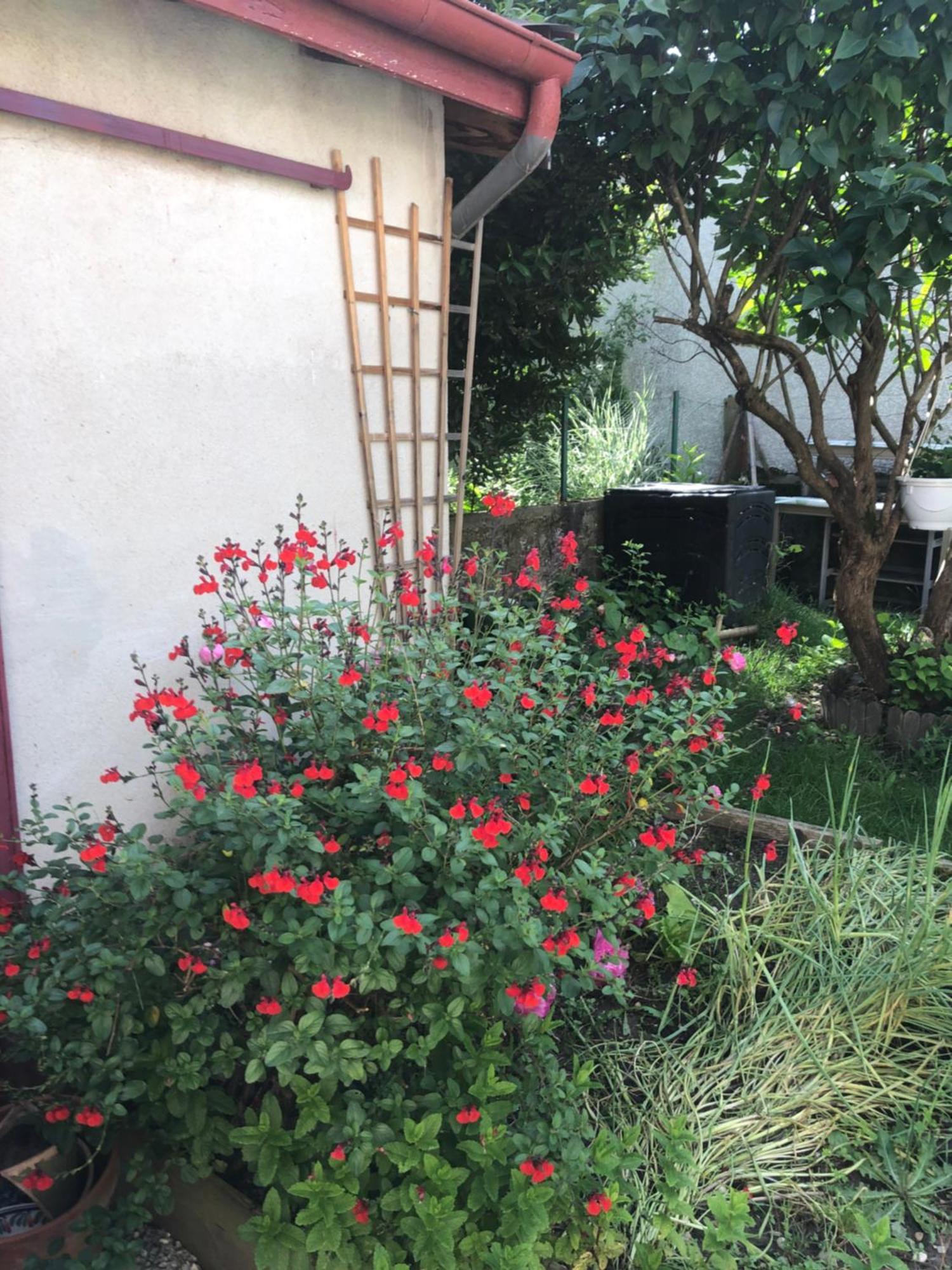 Ibis Rouge Villars-les-Dombes Exterior foto