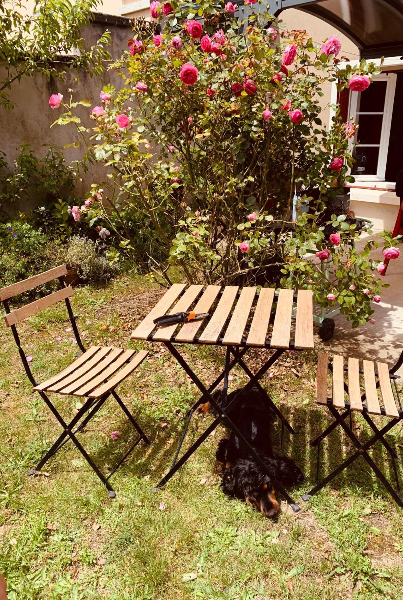 Ibis Rouge Villars-les-Dombes Exterior foto