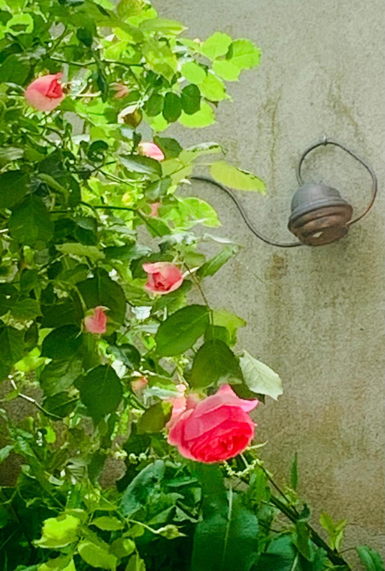 Ibis Rouge Villars-les-Dombes Exterior foto